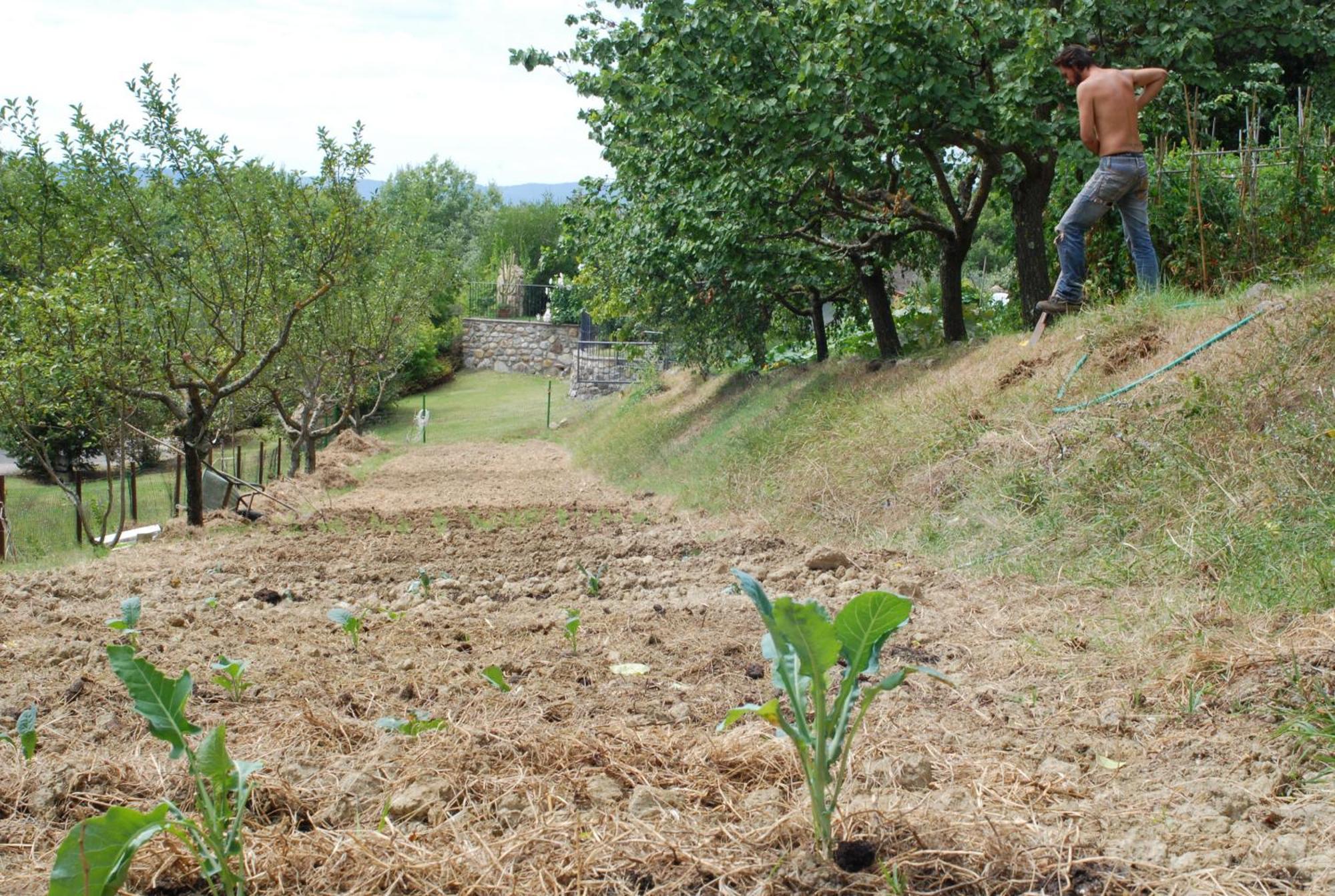 Agriturismo Fattoria Walden Ficulle ภายนอก รูปภาพ